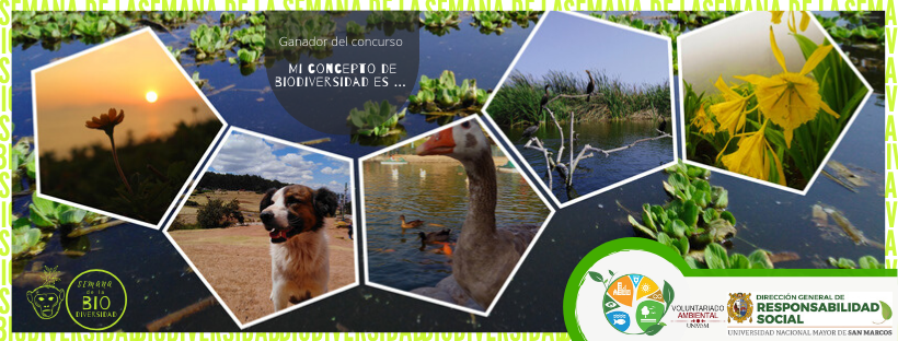 Voluntariado Ambiental UNMSM: Proyecto “Semana de la Biodiversidad” llegó a cientos de usuarios a través de las publicaciones en redes sociales y en el ciclo de conferencias