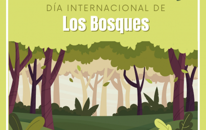 21 de Marzo: Día Internacional de Los Bosques