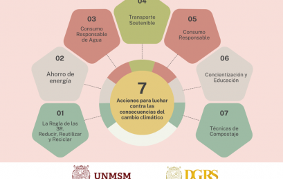 7 Acciones para Combatir el Cambio Climático