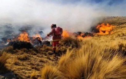 GUÍA PARA LA PREVENCIÓN Y CONTROL (EXTINCIÓN) DE INCENDIOS FORESTALES