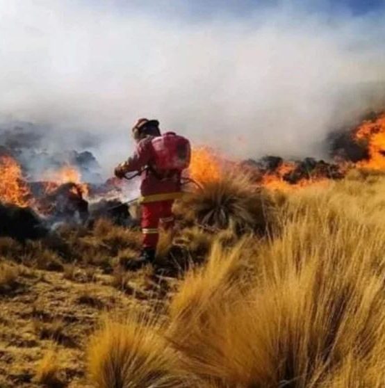 GUÍA PARA LA PREVENCIÓN Y CONTROL (EXTINCIÓN) DE INCENDIOS FORESTALES