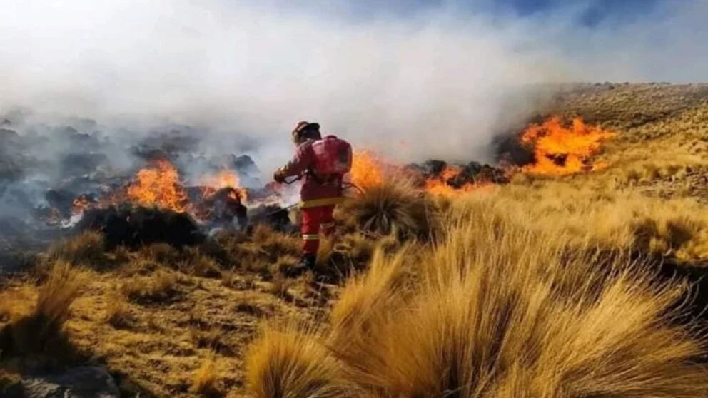 GUÍA PARA LA PREVENCIÓN Y CONTROL (EXTINCIÓN) DE INCENDIOS FORESTALES